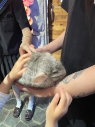 -Zoolung Zoolung动物主题公园(海信广场店)