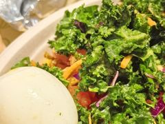 -油梨树 AVOCADO TREE(亮马桥店)