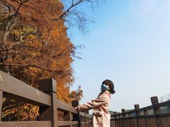 -东湖落雁景区