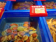 -驻海渔市(置信店)