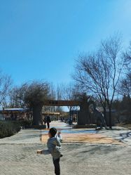 点击看大图 -大望京儿童游乐场