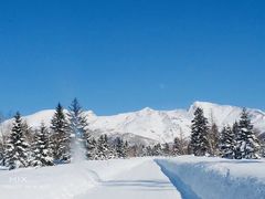 -长白山吉祥物天池水怪专卖