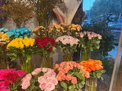 -沪花拾者(好再来花卉鲜花店)