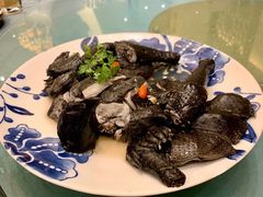 药膳鸡-沙龙酒家