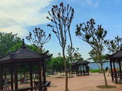 -武汉紫薇都市田园