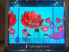 -DFS迪斐世(澳门新濠天地店)