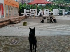 -渔人码头(洛溪店)