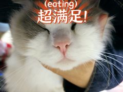 -九尺赵老四鲜鹅肠火锅