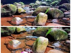 -赤水丹霞旅游区·佛光岩