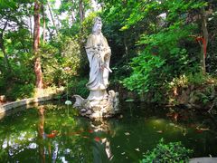 -紫金山山顶公园