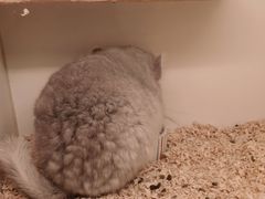 -龙猫仔乐园(惠福东路店)