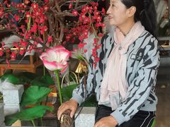 -荷塘秋月·本帮江浙菜(国权路店)