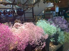 -L.C FLORA花予你(城西银泰城店)