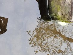 -重庆彩云湖湿地公园