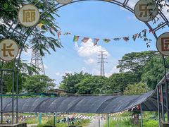 -长廊欢乐园