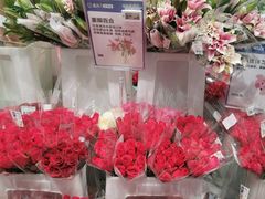 -盒马X会员店(上海森兰商都店)