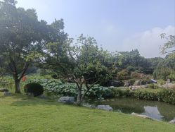 点击看大图 -玄武湖景区-情侣园游乐场