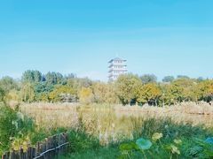 -Supine Bistro溯泮餐厅