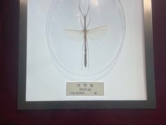-上海昆虫博物馆