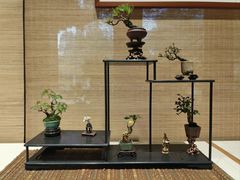 -郭庄景区