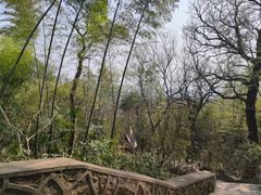 -上海佘山国家森林公园西佘山园