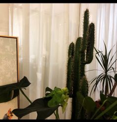 -杨丹国际美学肌研所