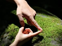 -叠溪松坪沟景区