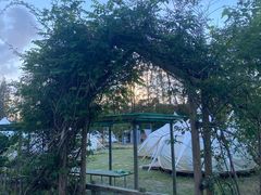 -前小桔亲子创意农场·草莓采摘·露营烧烤