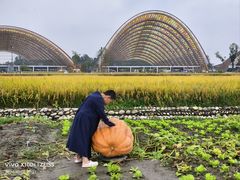 -中国天府农业博览园