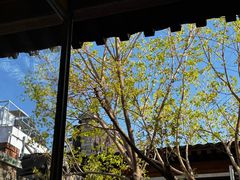 -VOYAGE COFFEE(杨梅竹店)