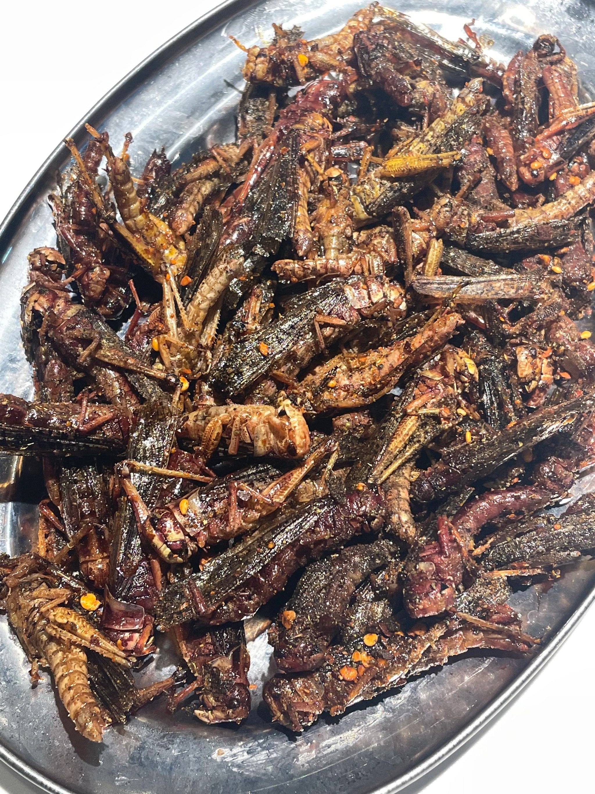 炸蚂蚱我也吃过啦!感谢云南菜