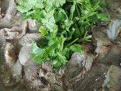 -攀枝花·任德琼·盐边羊肉米线