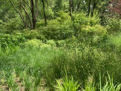 -西湖风景区-江洋畈生态公园