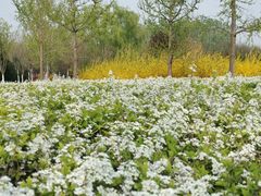 -永定河休闲森林公园