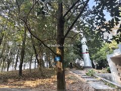 -中山市树木园