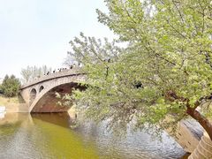 -赵州桥景区