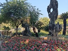 -东莞市可园博物馆