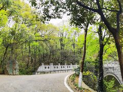 -金陵矩阵(聚宝山公园店)