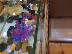 -金穗园·砂锅粥.醉鸡煲火锅(长寿路店)