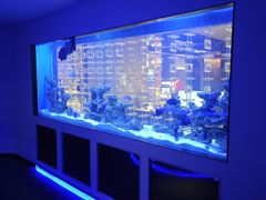 -上和臻品中国菜(花园街店)