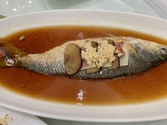 酒糟鲥鱼-光明邨大酒家(汇阳广场店)