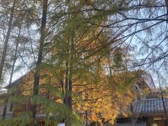 -广州市白云山风景名胜区