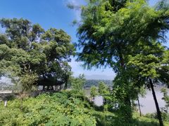 -东梓关景区村庄