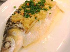 忘不了鱼-金城大酒店-中餐厅(汾江中路店)