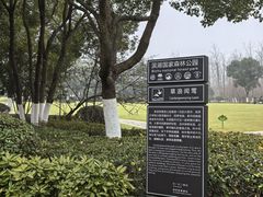 -合肥滨湖国家森林公园
