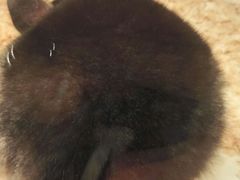 -龙猫仔乐园(惠福东路店)