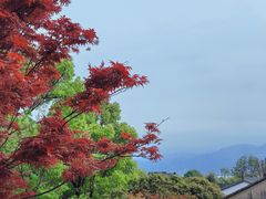 -东钱湖旅游度假区