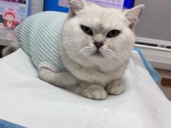 -博特宠物医院24h犬猫全科.骨科·异宠