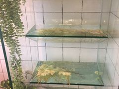 -百味源炭火烤翅 ·夜市大排档(酒仙桥店)