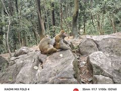 -黔灵山公园